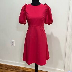 Lark & Ro Vibrant Fuchsia Pink Midi Dress